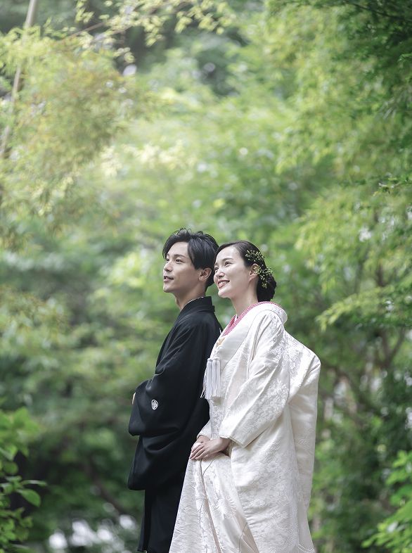 日本の美と心のビジュアル